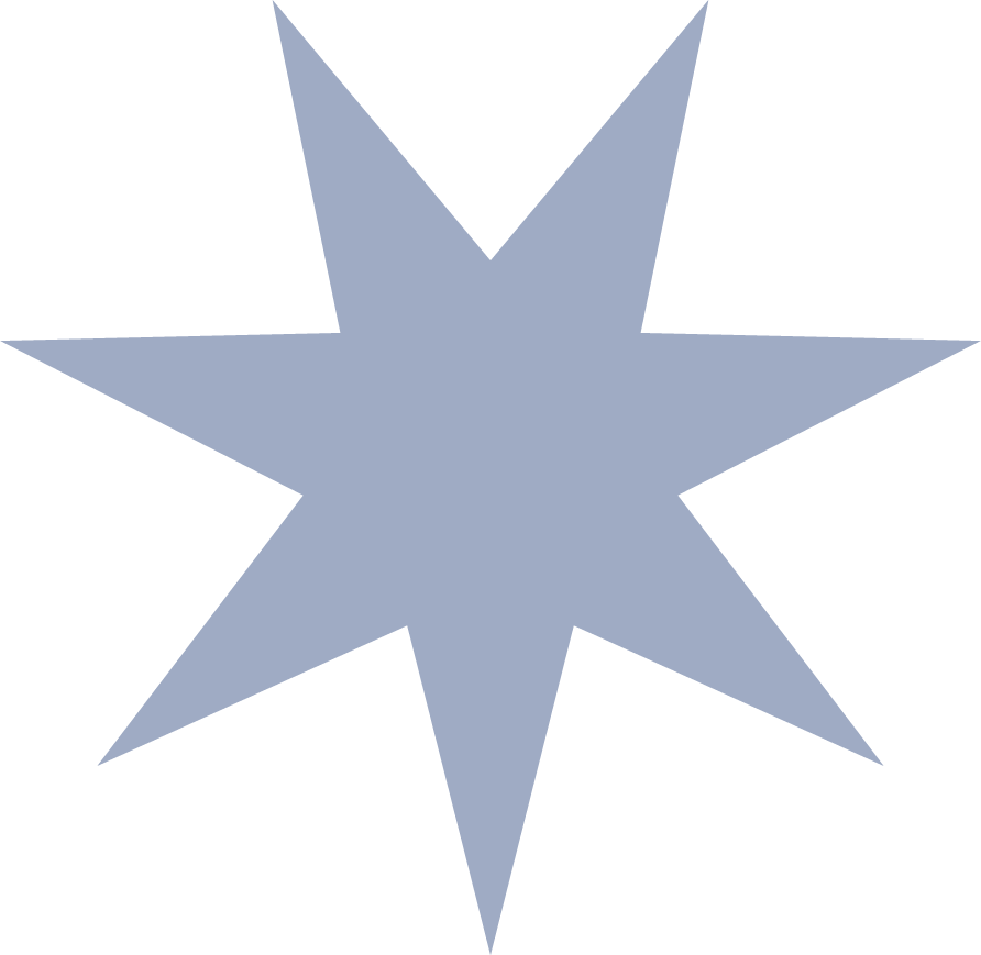 A dark blue, eight-pointed starburst shape with sharp points, on a black background.