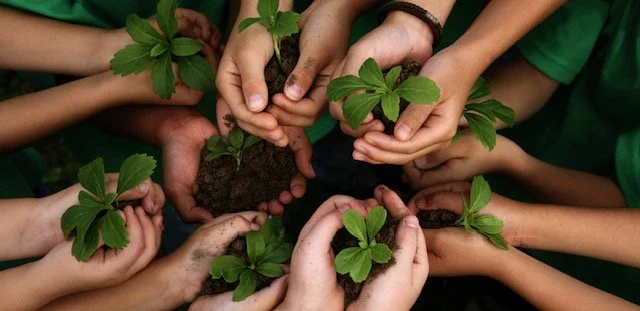 Environmental Stewardship, Water Quality, and Climate Resilience