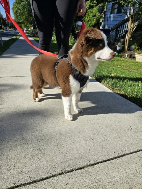 image9.jpeg