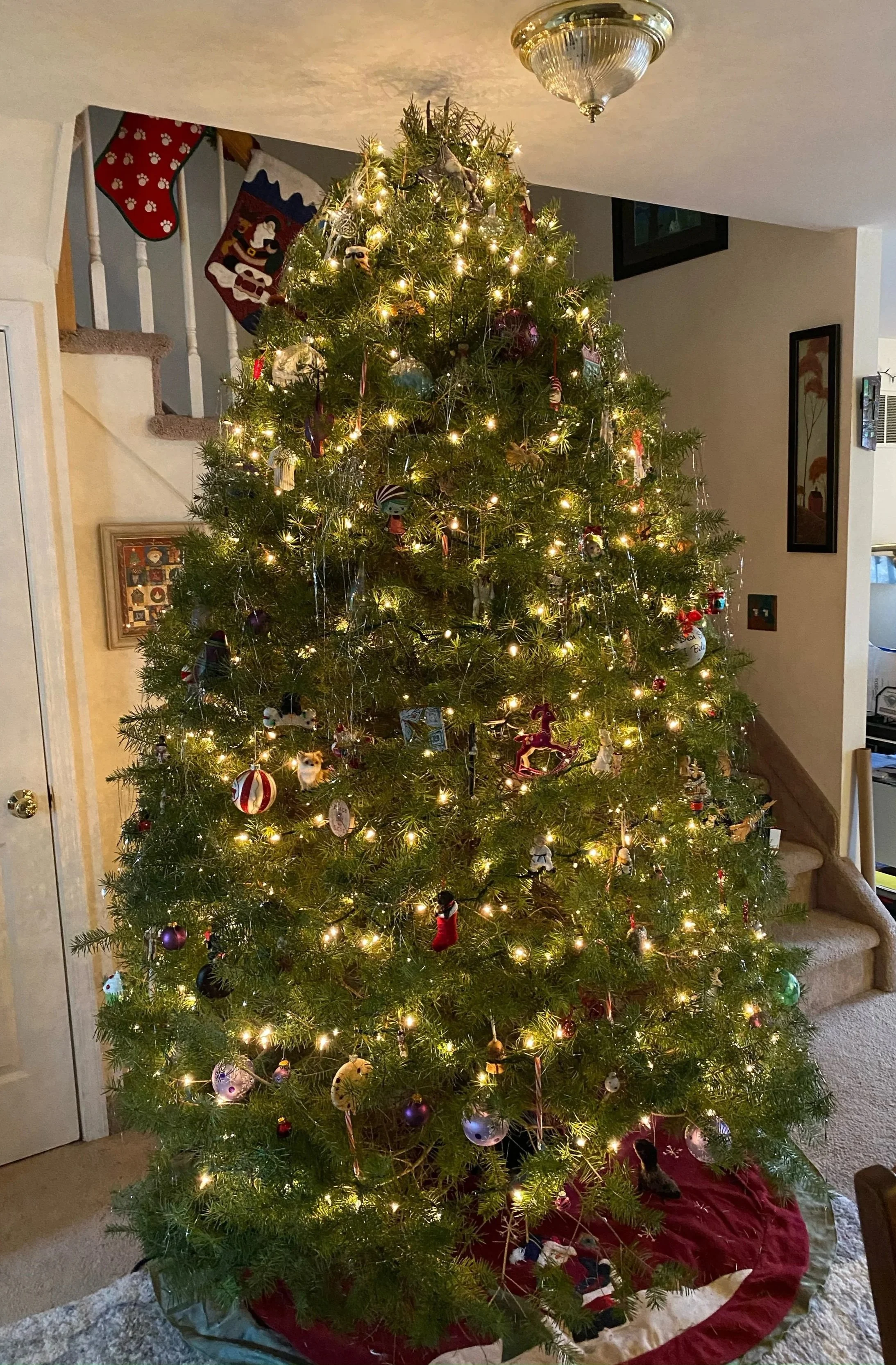 A decorated and lit Christmas tree in a living room with ornaments, lights, and a tree skirt.