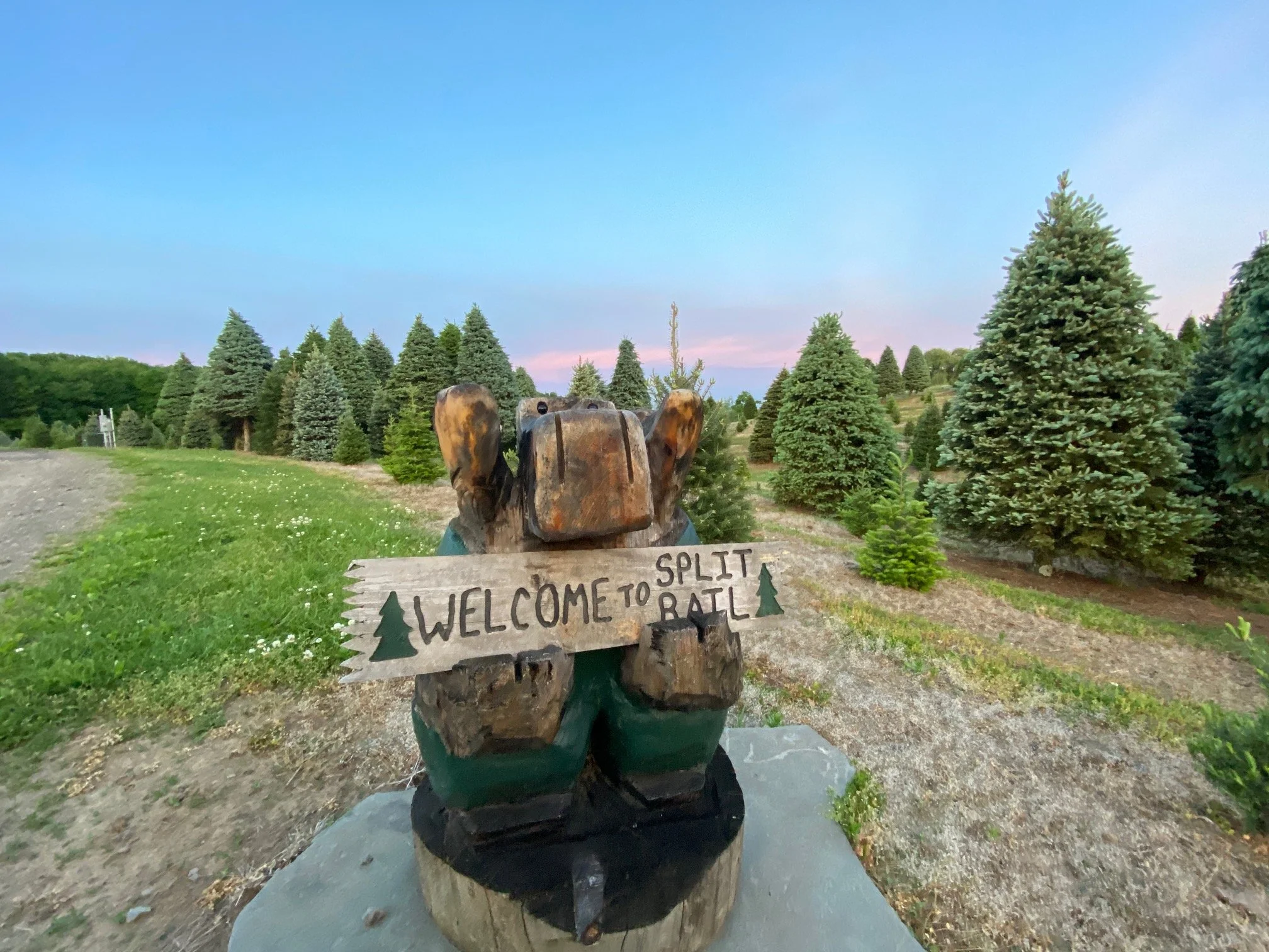 Wooden bear sculpture holding a sign that reads "Welcome to Split Rail" with trees and a gravel pathway in the background.