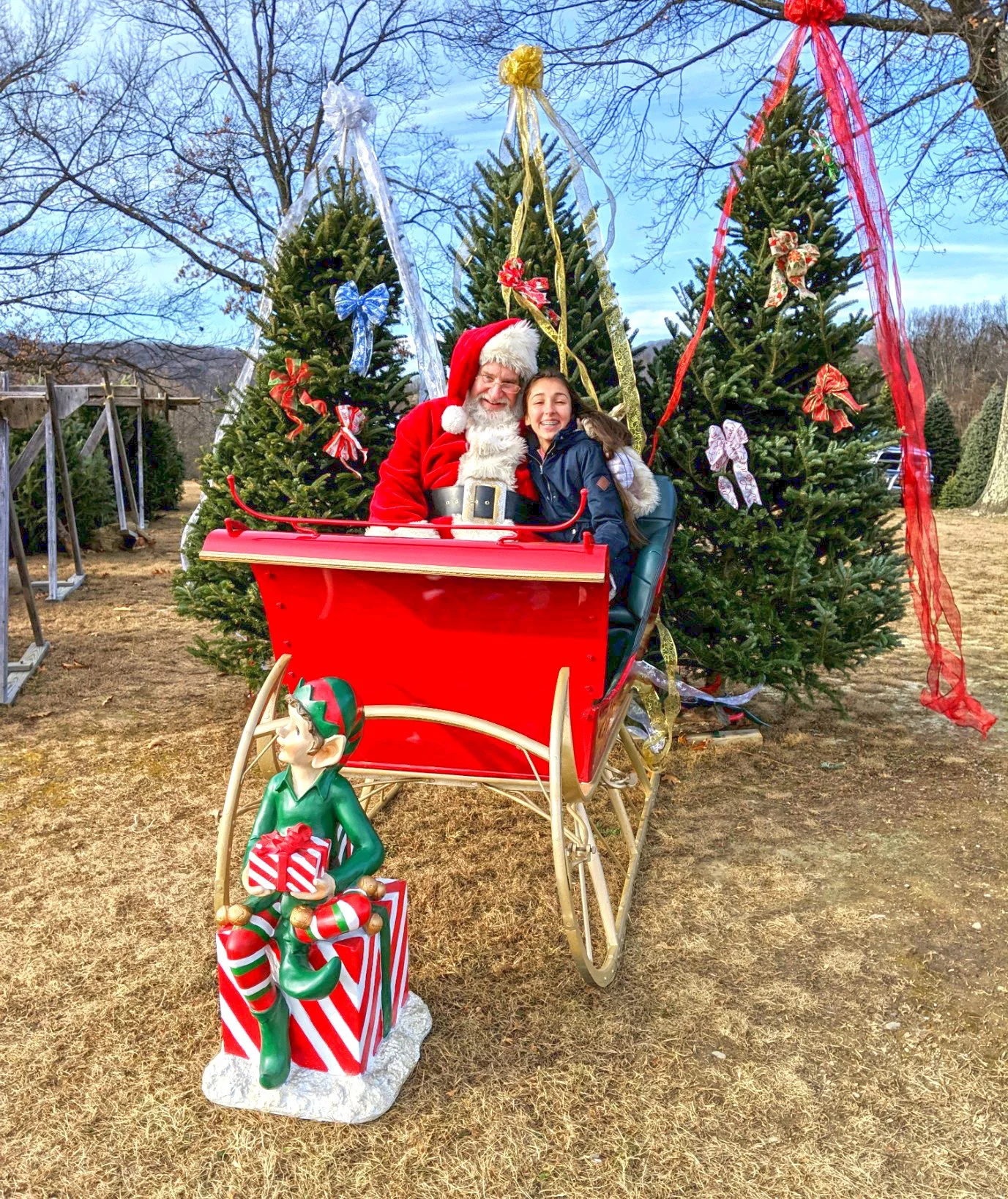 People joyfully sitting in a Santa-themed sleigh in front of decorated Christmas trees with bows and ribbons.