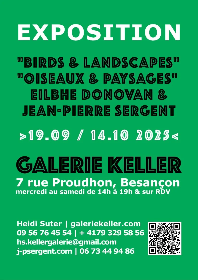 TWO ARTISTS EXHIBITION > "BIRDS & LANDSCAPES" EILBHE DONOVAN (IRELAND) & JEAN-PIERRE SERGENT (FRANCE)
