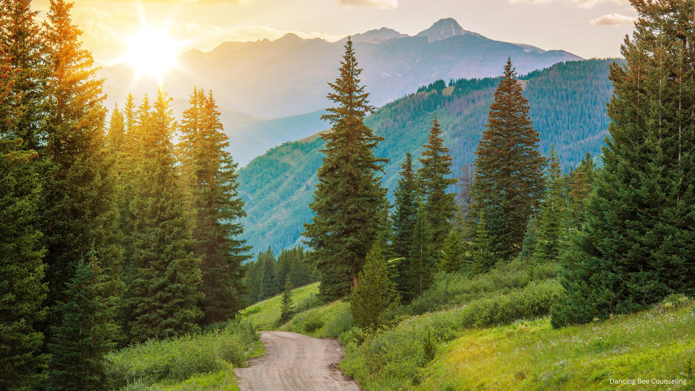 Preparing for Egg Retrieval: Physical &amp; Emotional Guide