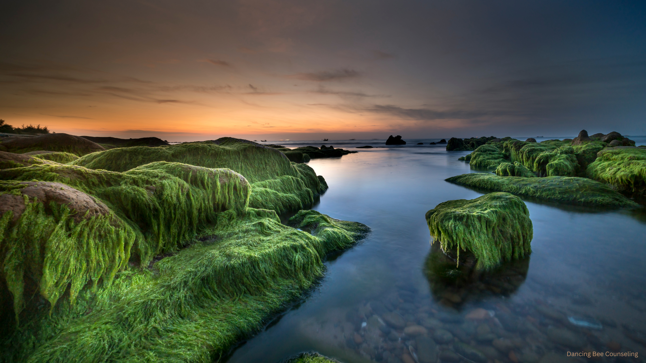 Announcing Pregnancy After Infertility: When, How, and Why It Feels So Complicated