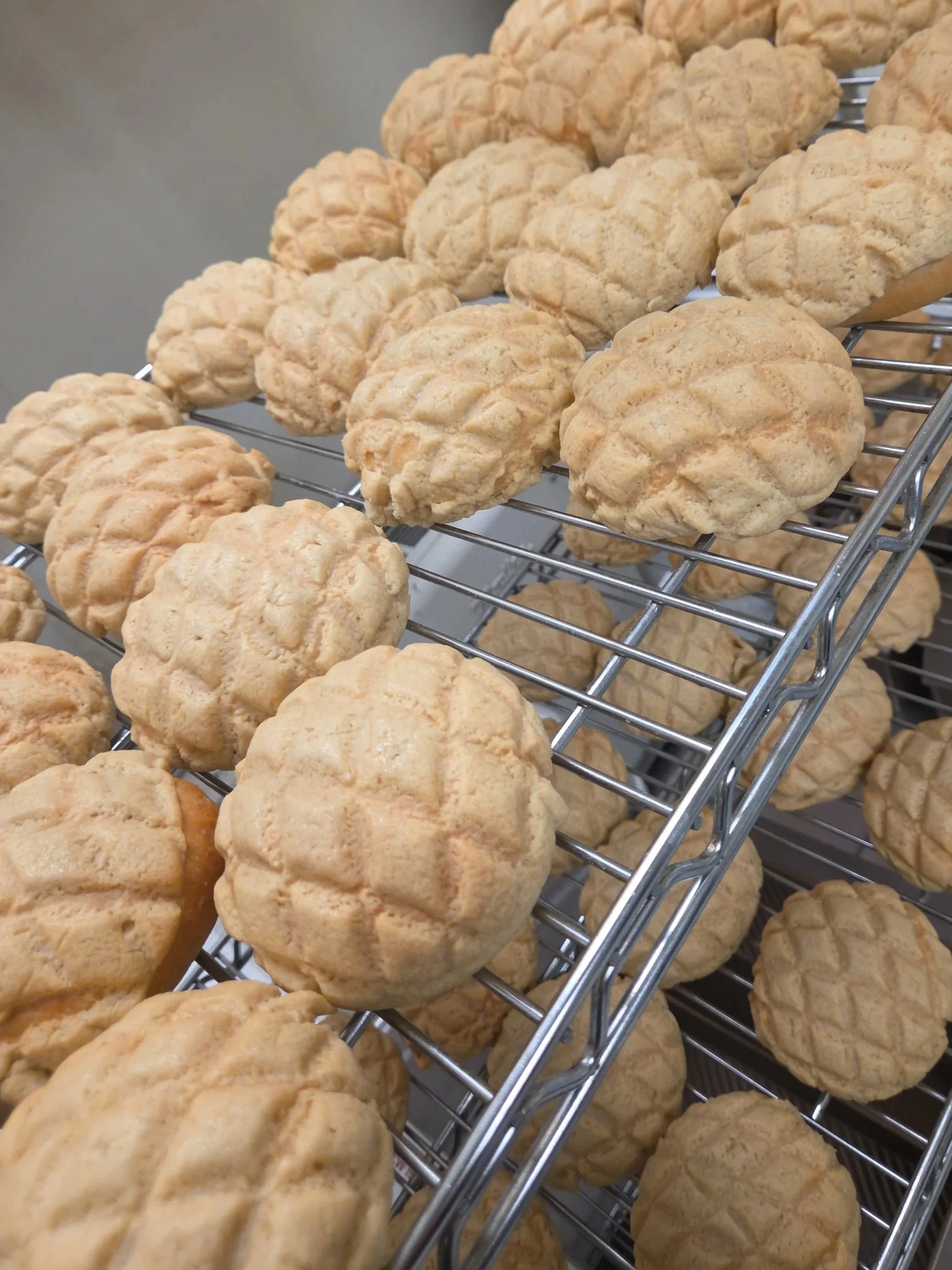 Melonpan AKA cookie buns