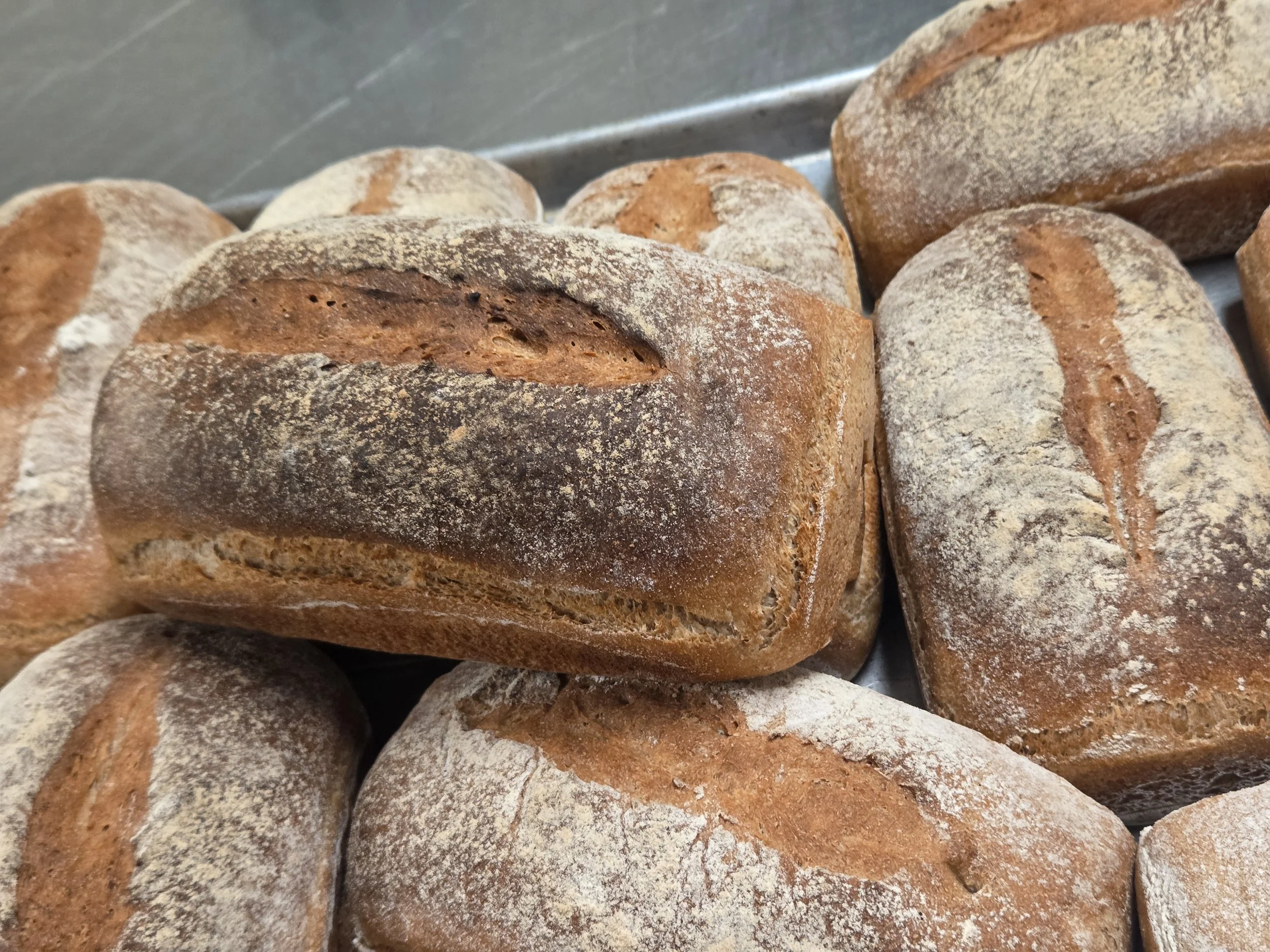 Whole Wheat Country Loaf