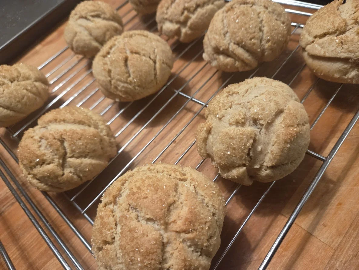 Melonpan - AKA Cookiebun