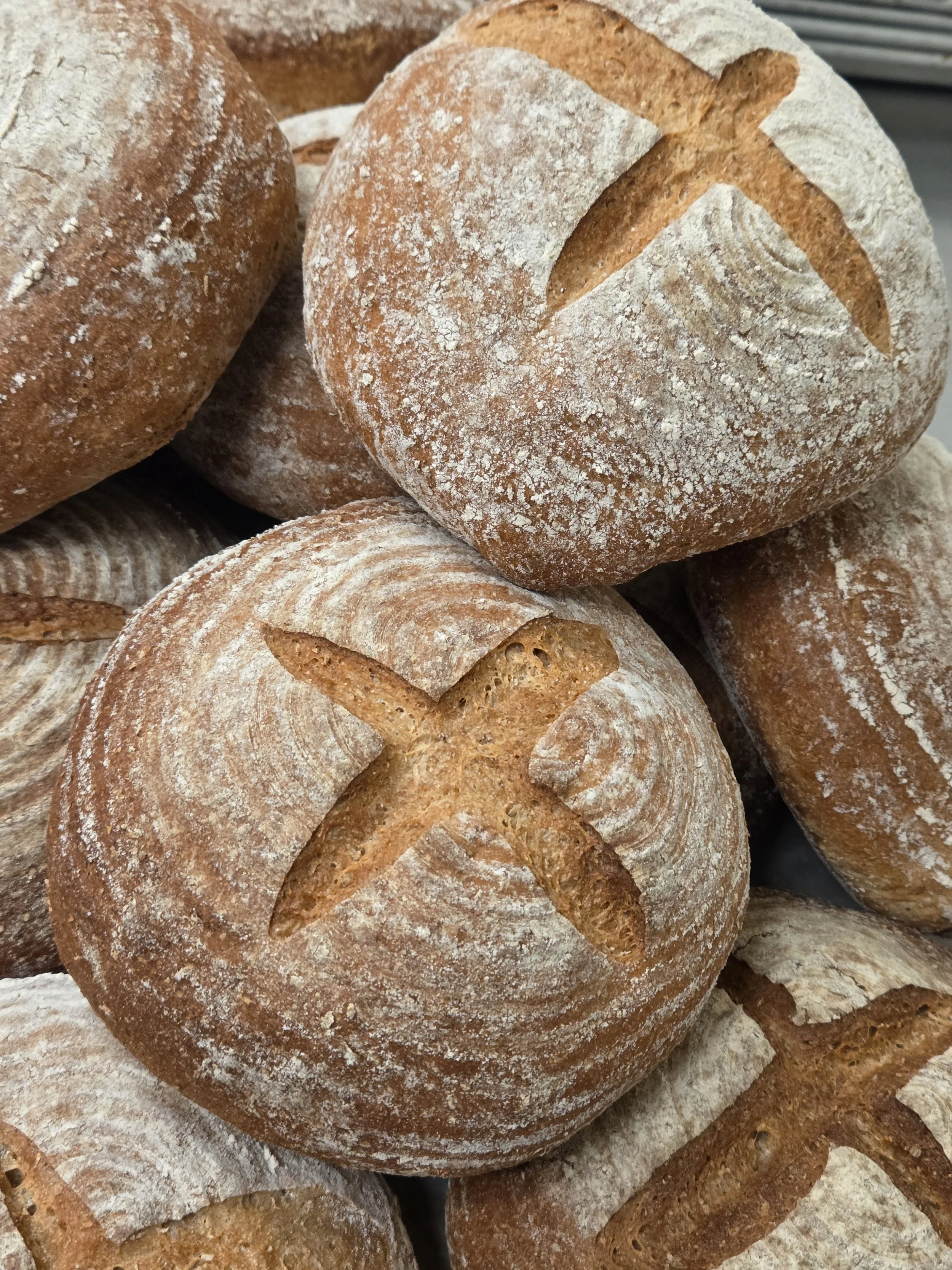 Whole Wheat Country Loaf
