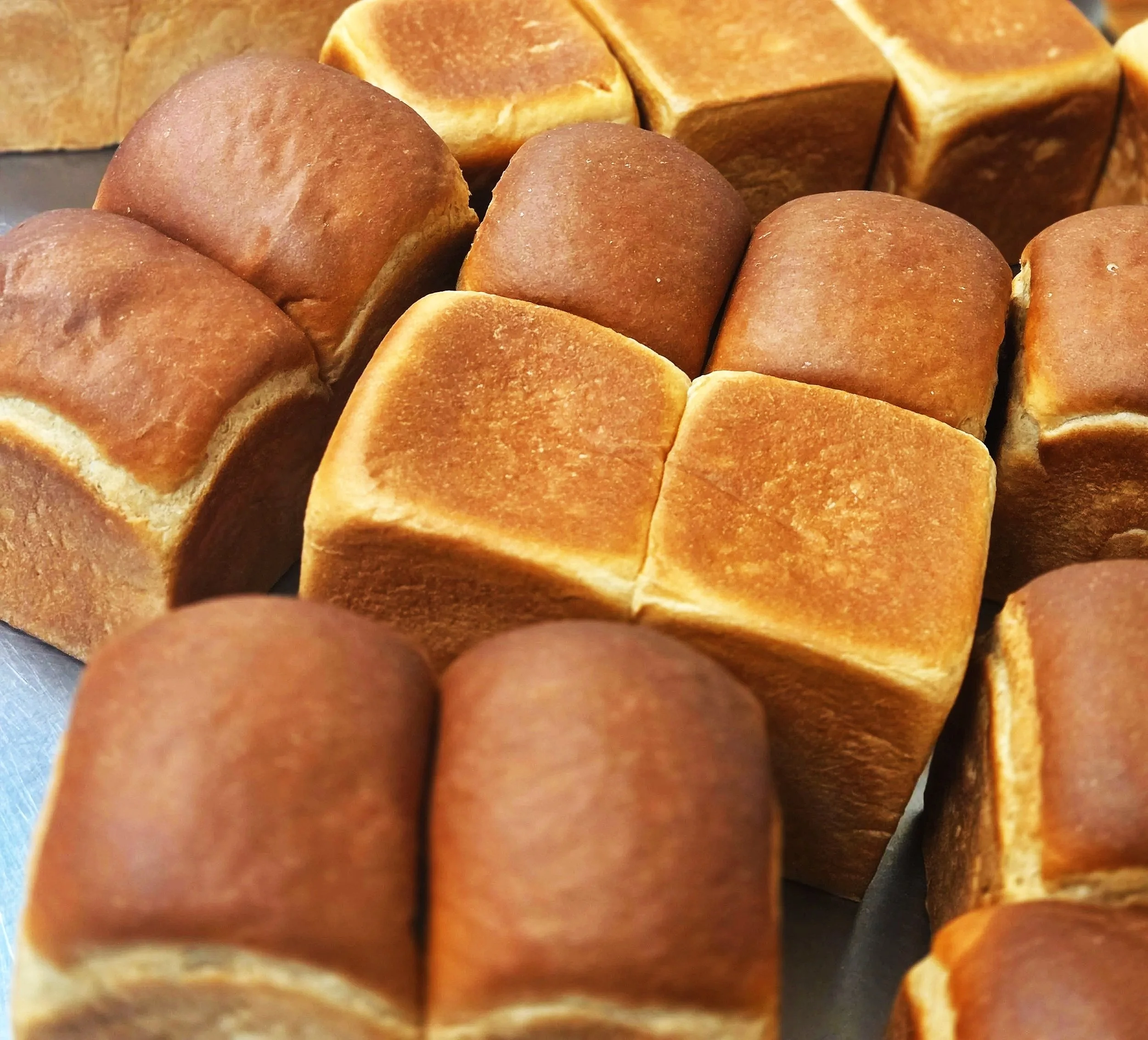 Close-up of freshly baked bread.