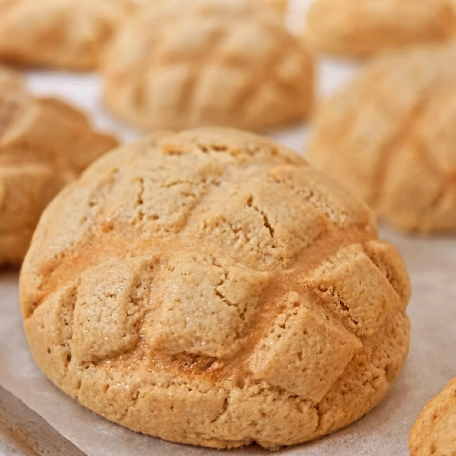 Cookie buns AKA Melonpan