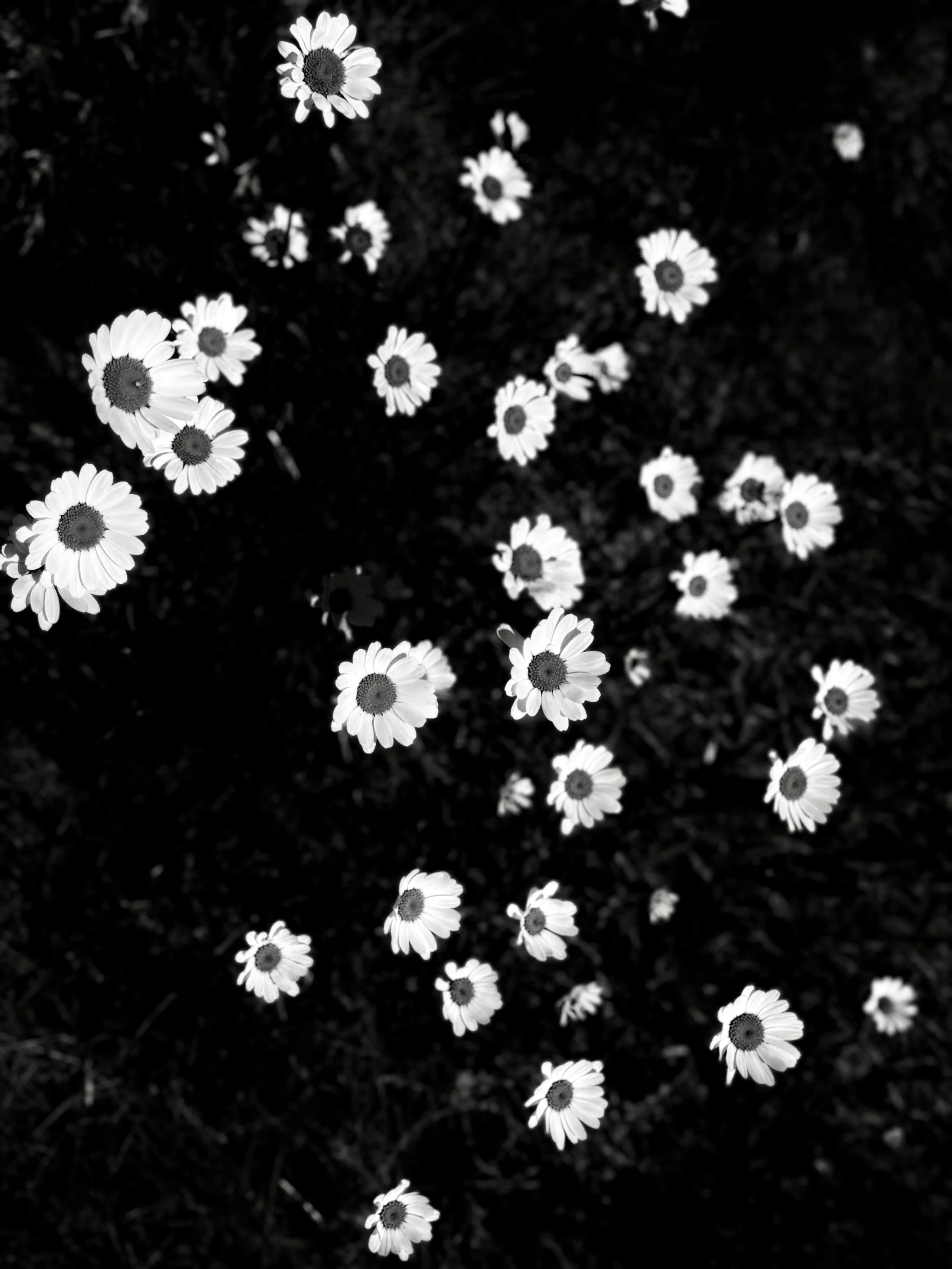 IMG_5413.jpeg