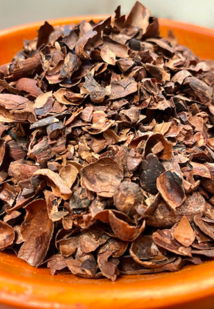 Image 12-27-25 at 12.20 PM.png