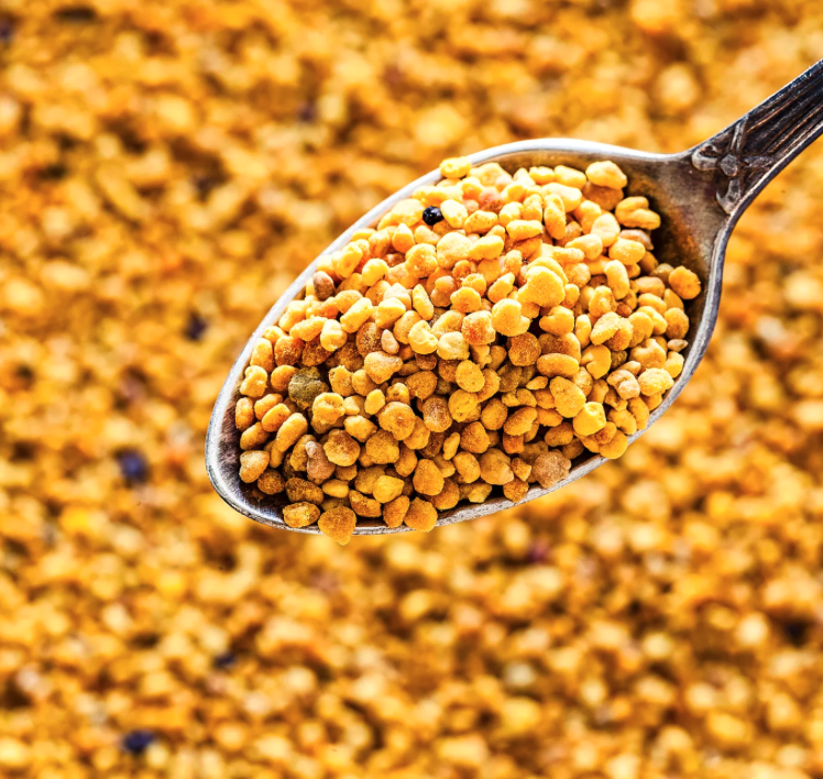 Image 12-26-25 at 3.40 PM.png