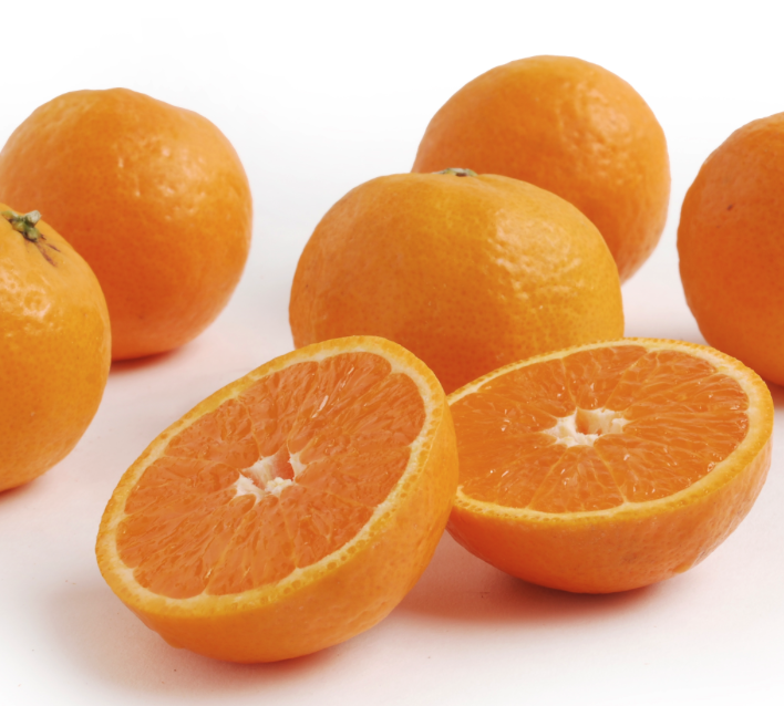 Image 12-27-25 at 12.07 PM.png