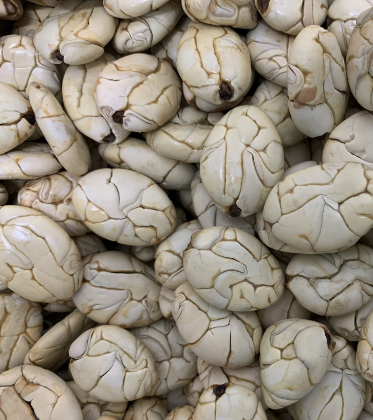 Image 12-27-25 at 12.19 PM.png