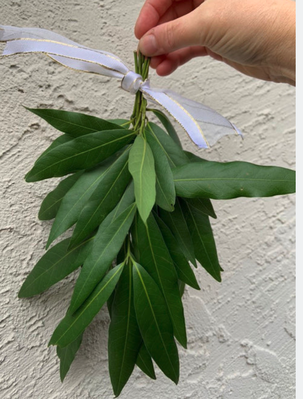 Image 12-27-25 at 11.40 AM.png