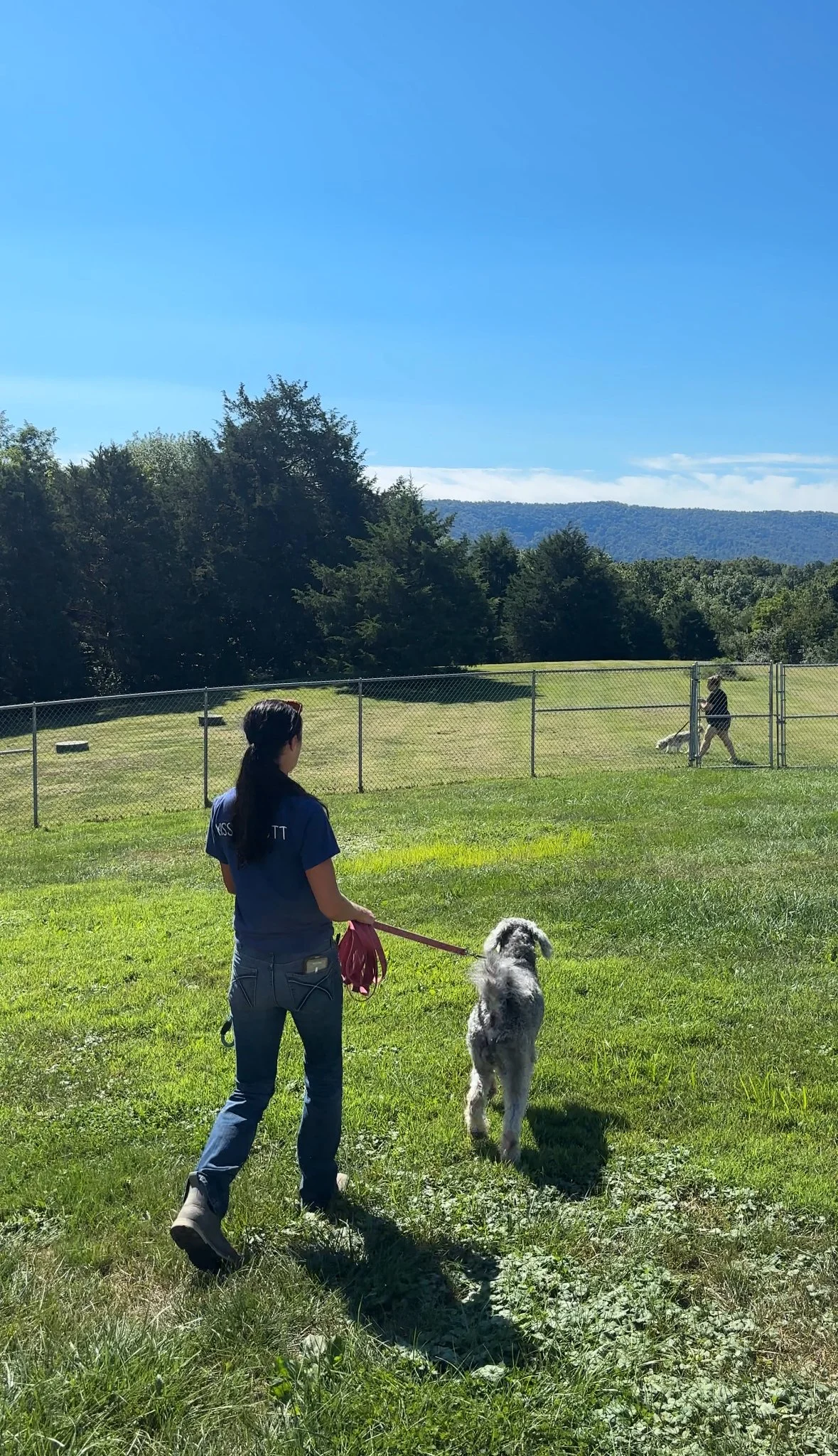 A woman walking a dog on a leash, with another woman walking a dog on a leash in the background behind a chain link fence. A big backyard with beautiful green grass in the trees. In the background you can see the mountains of the Shenandoah Valley.