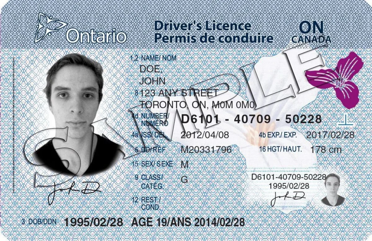 Ontario extending validation periods for driver, vehicle and carrier products, services and health cards
