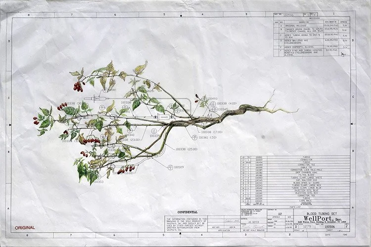 Blood Tubing Set.jpg