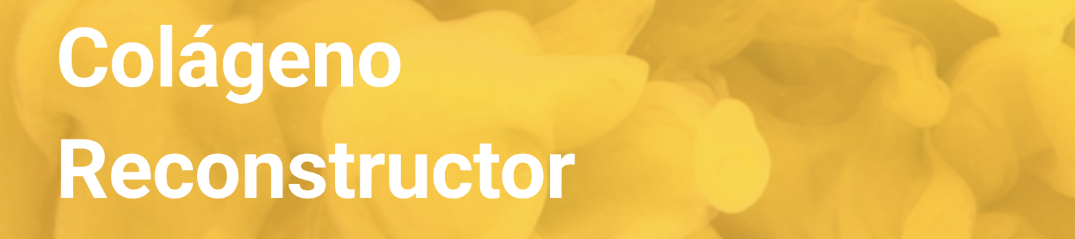 Distribuidora Shimaya