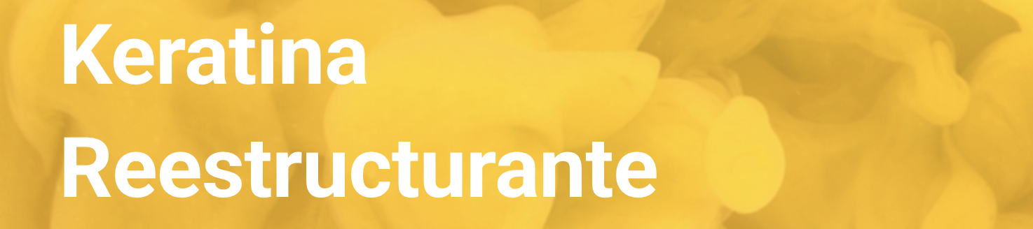 Distribuidora Shimaya