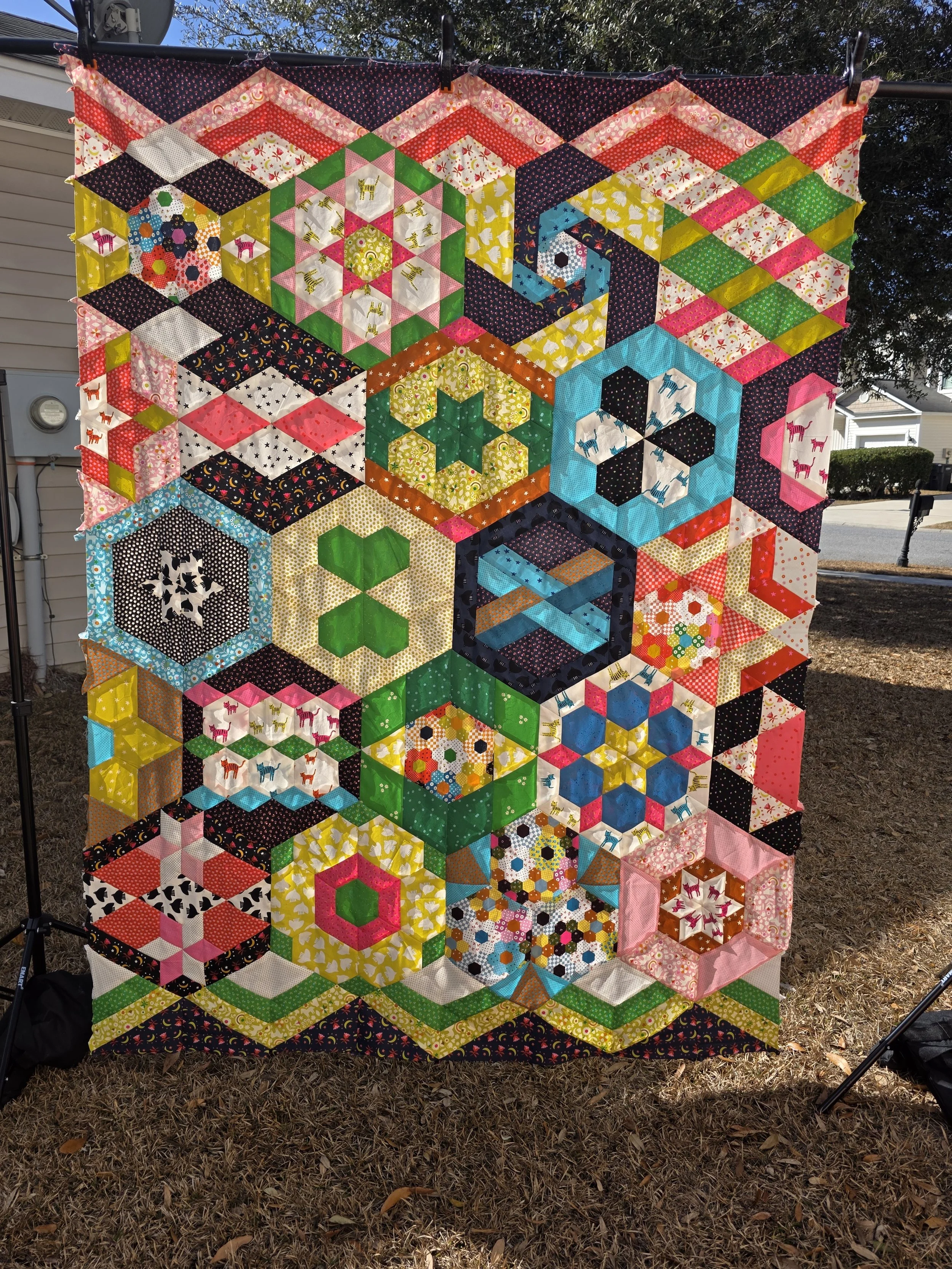 A finished EPP quilt with bright Ruby Star Society Fabrics, hung up outside to show the whole quilt top. The fabric features tigers, birds, and bright patterns.