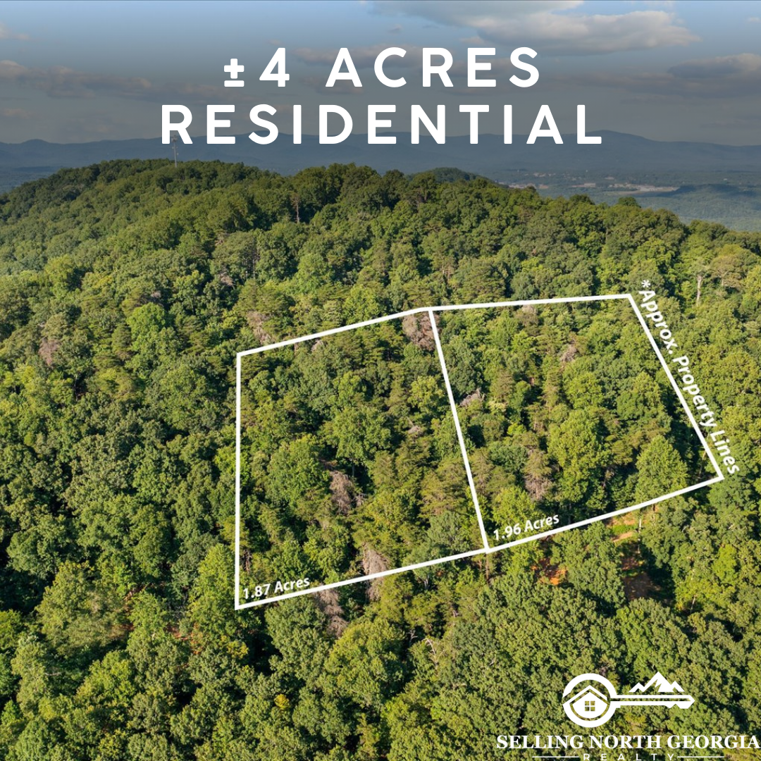 mountain land for sale