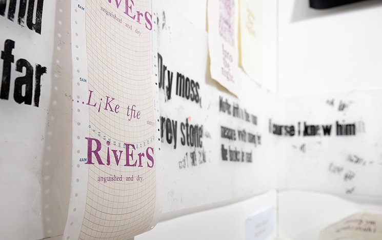 Journalism in Action: Seahaven Academy