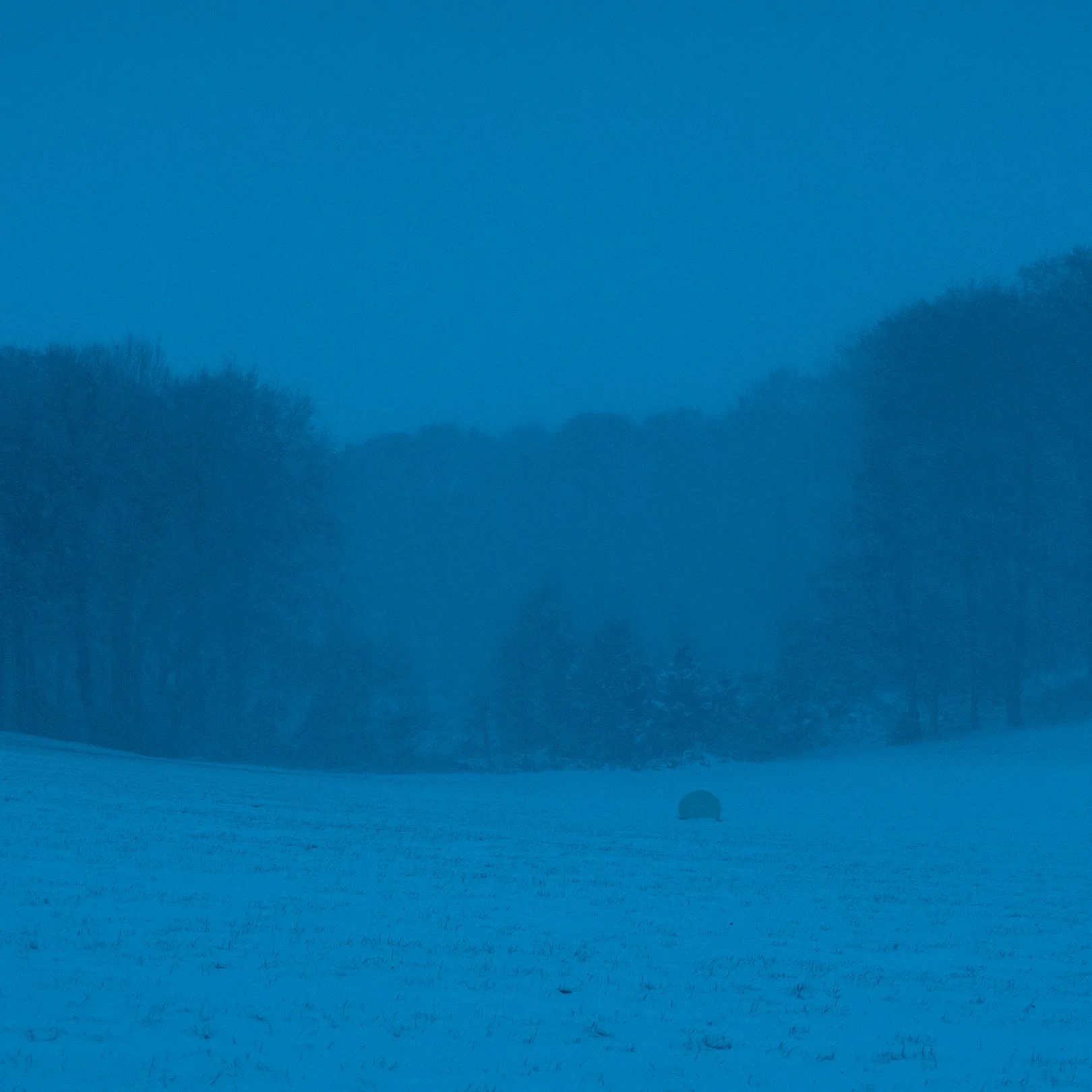 Quiet, heavy, cinematic atmospheric photography: A foggy winter landscape with snow-covered ground, trees in the background, and a single hay bale in the distance.