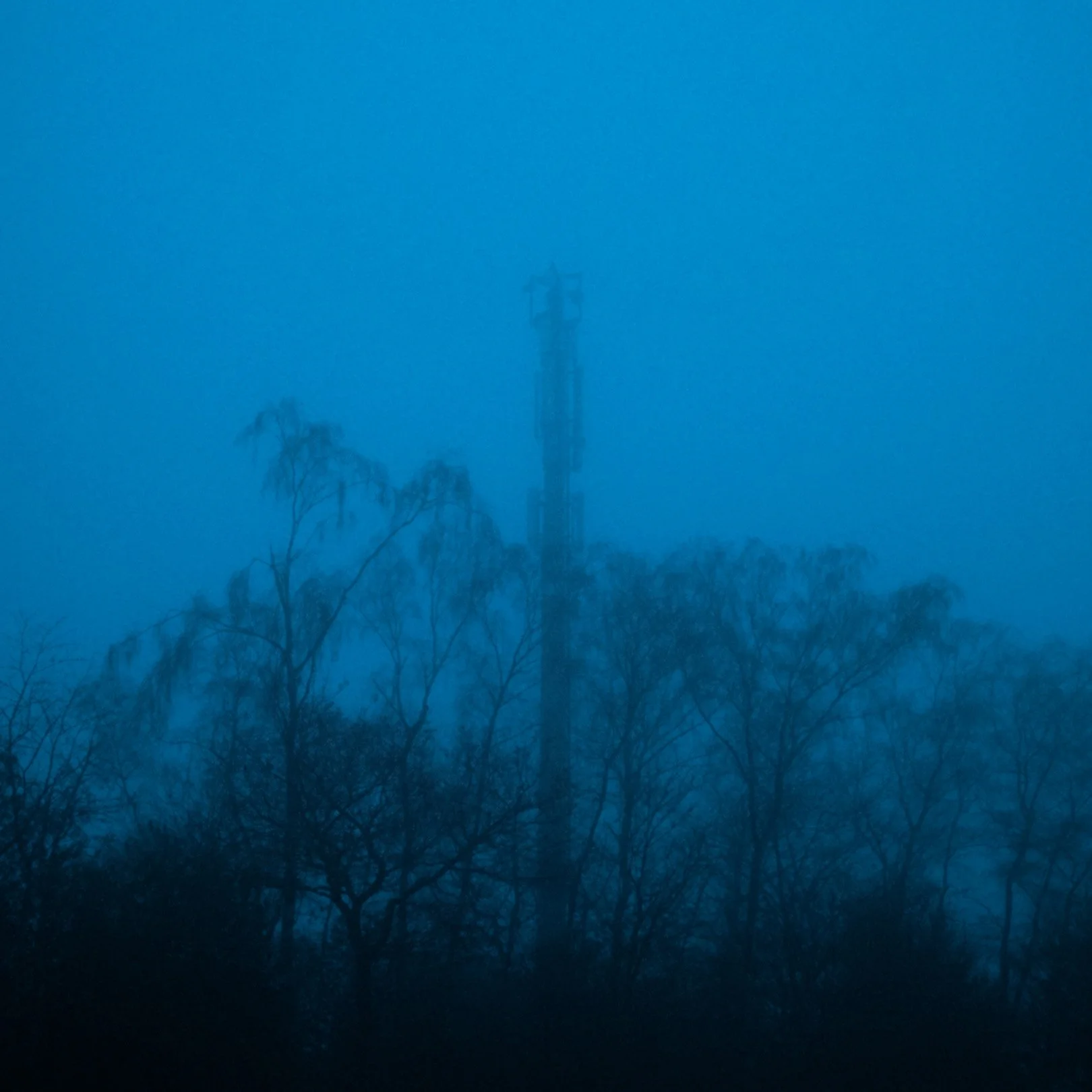 Quiet, heavy, cinematic atmospheric photography: A tower with a weather vane on top, partially obscured by fog, standing behind leafless trees.