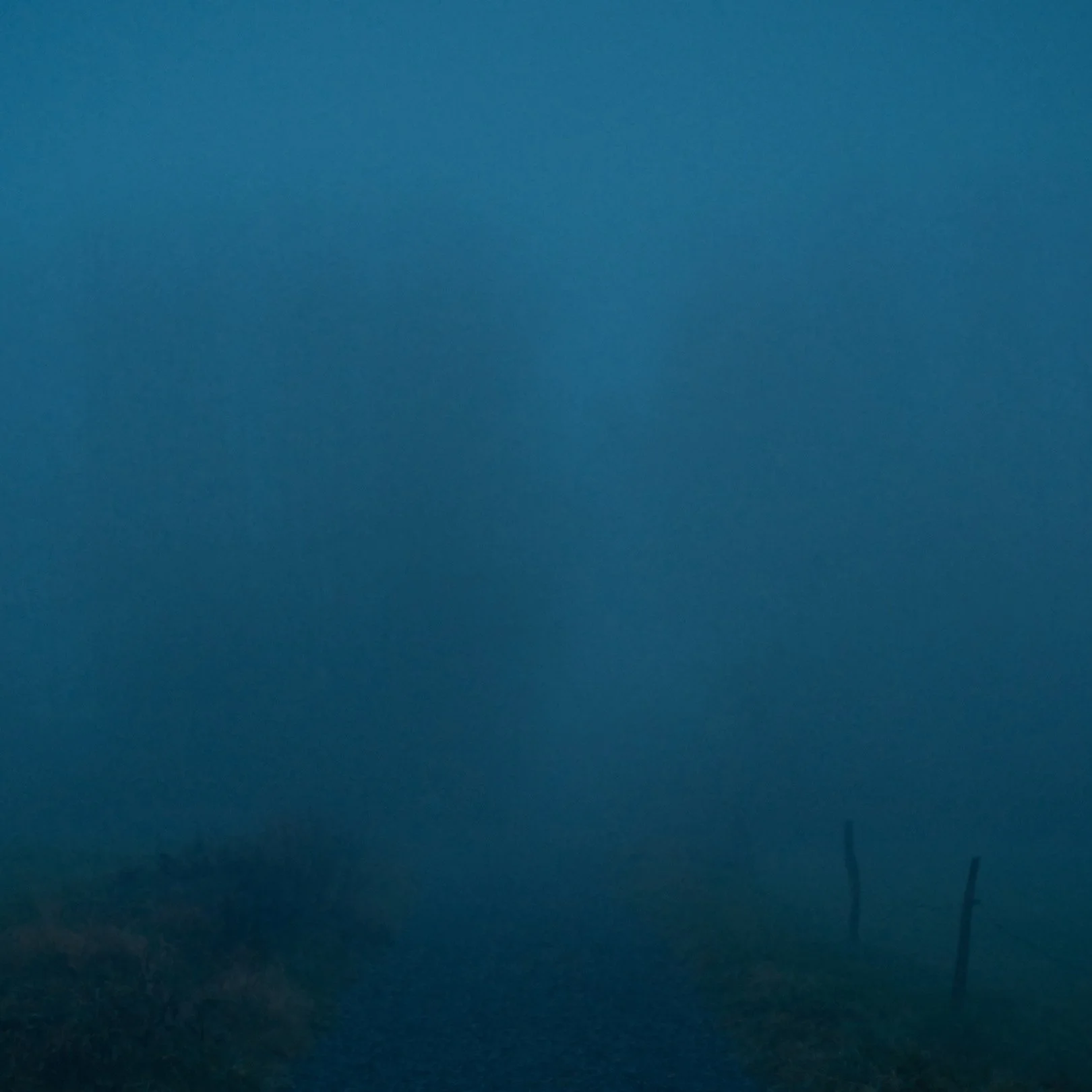 Quiet, heavy, cinematic atmospheric photography: A foggy landscape with a dark, misty sky and faint outline of a few trees or poles in the distance.