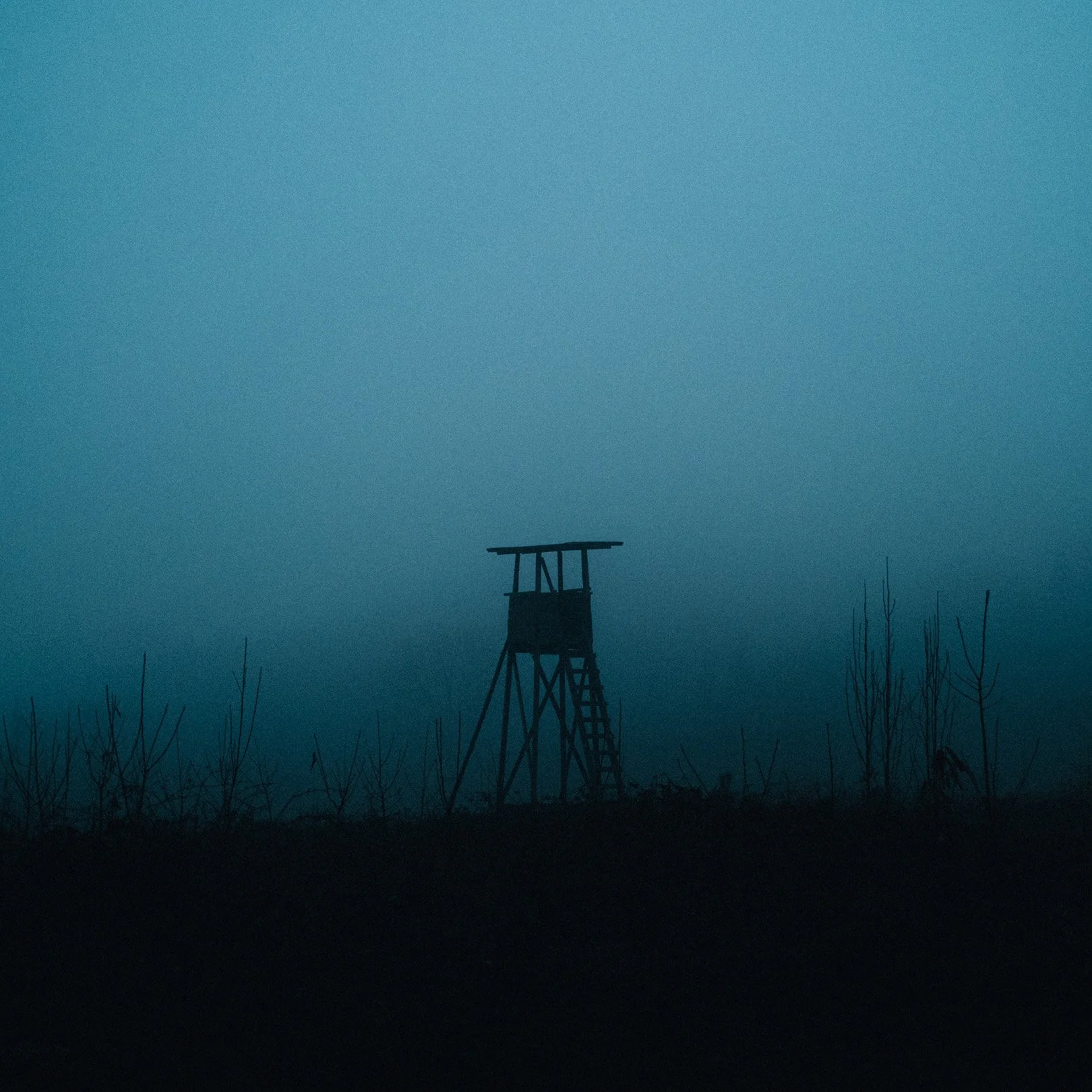 Quiet, heavy, cinematic atmospheric photography: Silhouette of a wooden hunting stand or watchtower in a foggy or misty landscape with sparse trees and bushes.