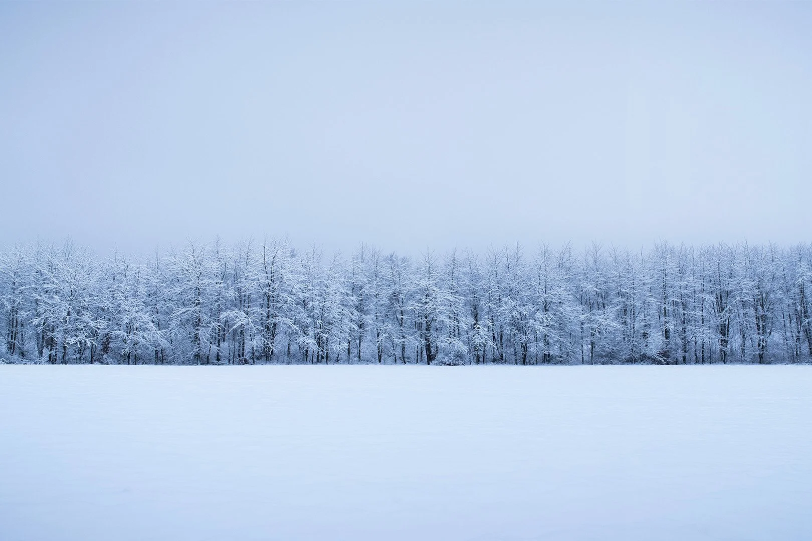 Calm, colorful, ambient nature photography: Snow-covered field with a line of snow-covered trees in the background under a cloudy sky.