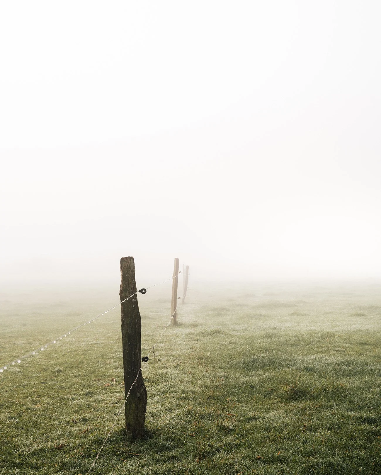 Calm, colorful, ambient nature photography: A foggy field with a line of weathered wooden fence posts and a wire fence.