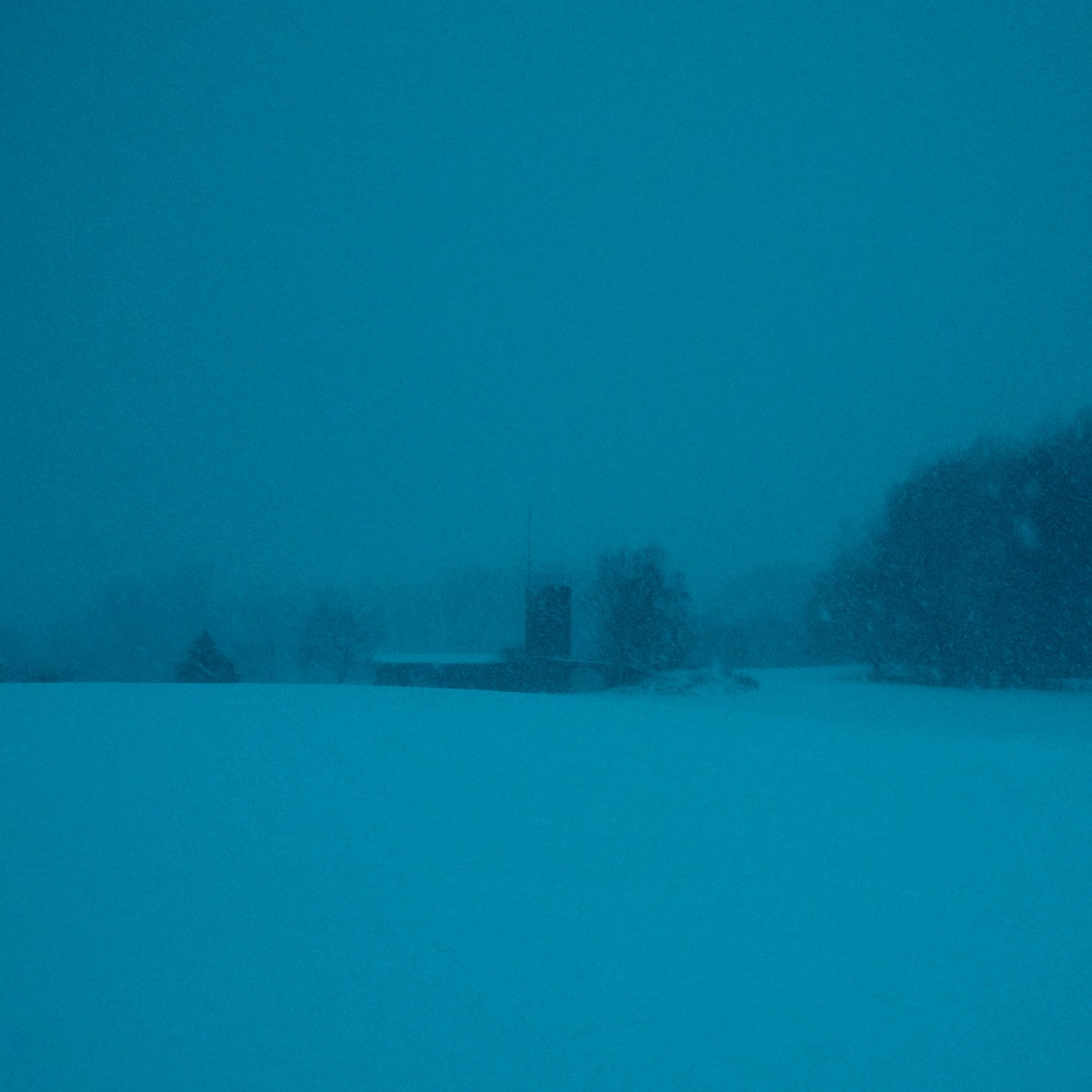 Quiet, heavy, cinematic atmospheric photography: Snow-covered landscape with trees and a building in the distance during a snowstorm.