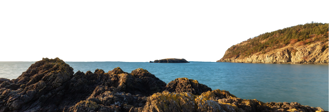 Coastal scene with rocks in the foreground, a calm body of water, and a hillside covered in trees in the background.