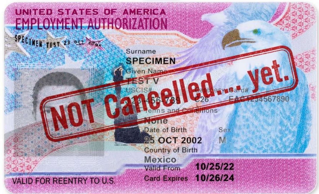 DHS Wants to End Work Permits for H-1B Spouses. Here’s Where They’re at Right Now…