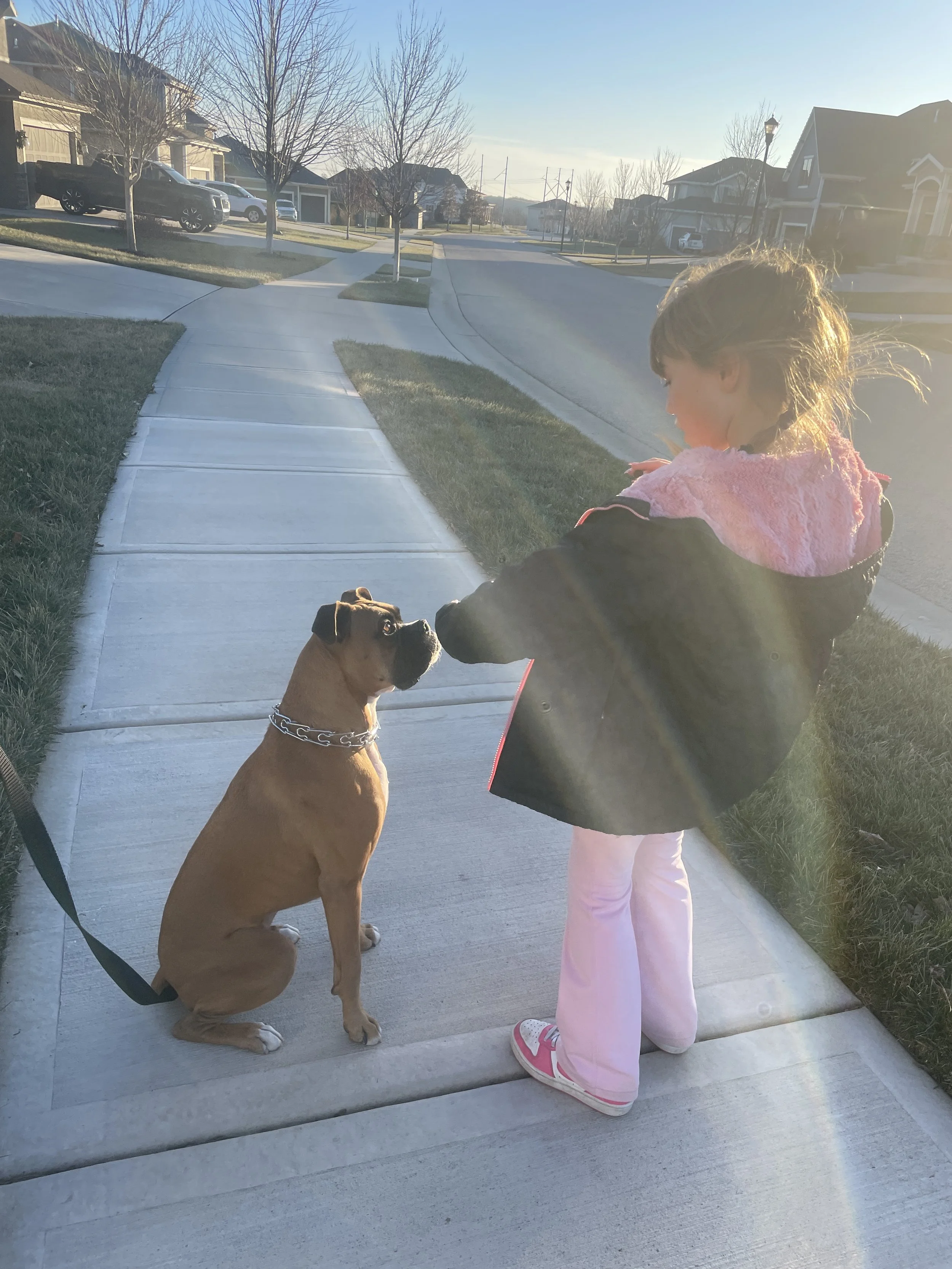 A young girl with brown hair tied back in a braid is standing on a sidewalk, holding a small dog on a leash. The girl is wearing a black jacket with a pink lining and pink pants, while the dog is tan with a black face and wearing a silver chain collar. The scene is outdoors on a sunny day in a suburban neighborhood with houses and trees in the background.