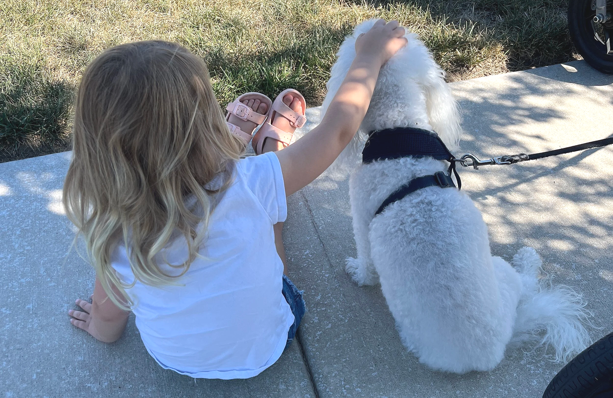 A young girl with blonde hair, wearing a white t-shirt and pink sandals, sitting on a concrete sidewalk and petting a white fluffy dog with a black collar.