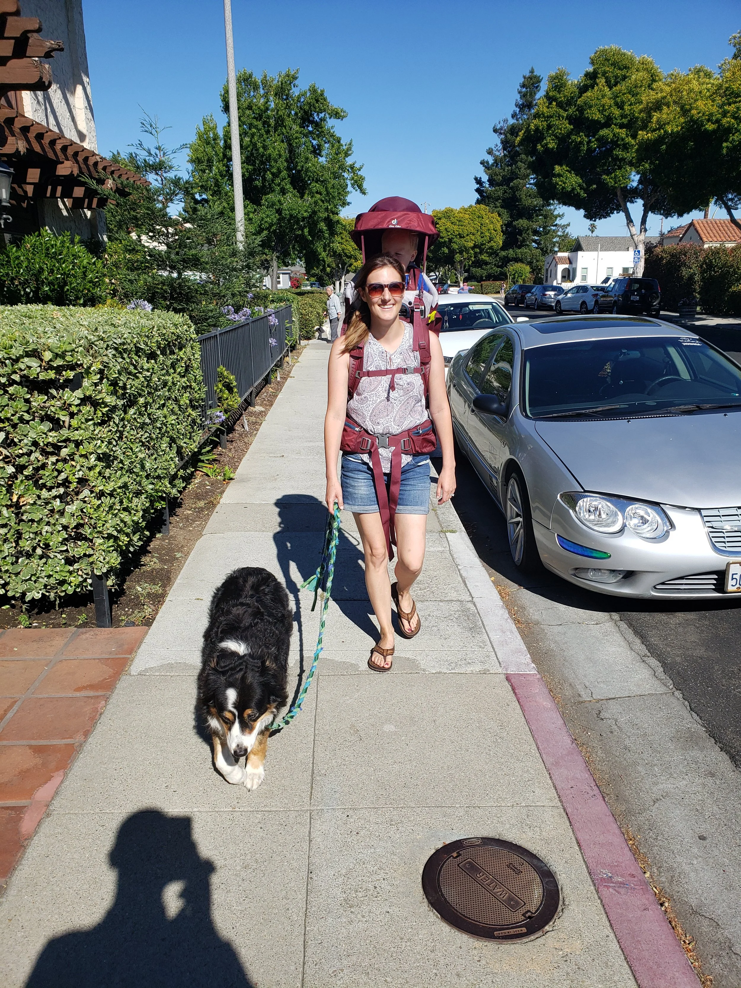 A woman walking her dog on a sidewalk on a sunny day, with a woman pushing a stroller behind her. The woman has sunglasses, a patterned sleeveless top, denim shorts, and sandals. The dog is a black and white Australian Shepherd.
