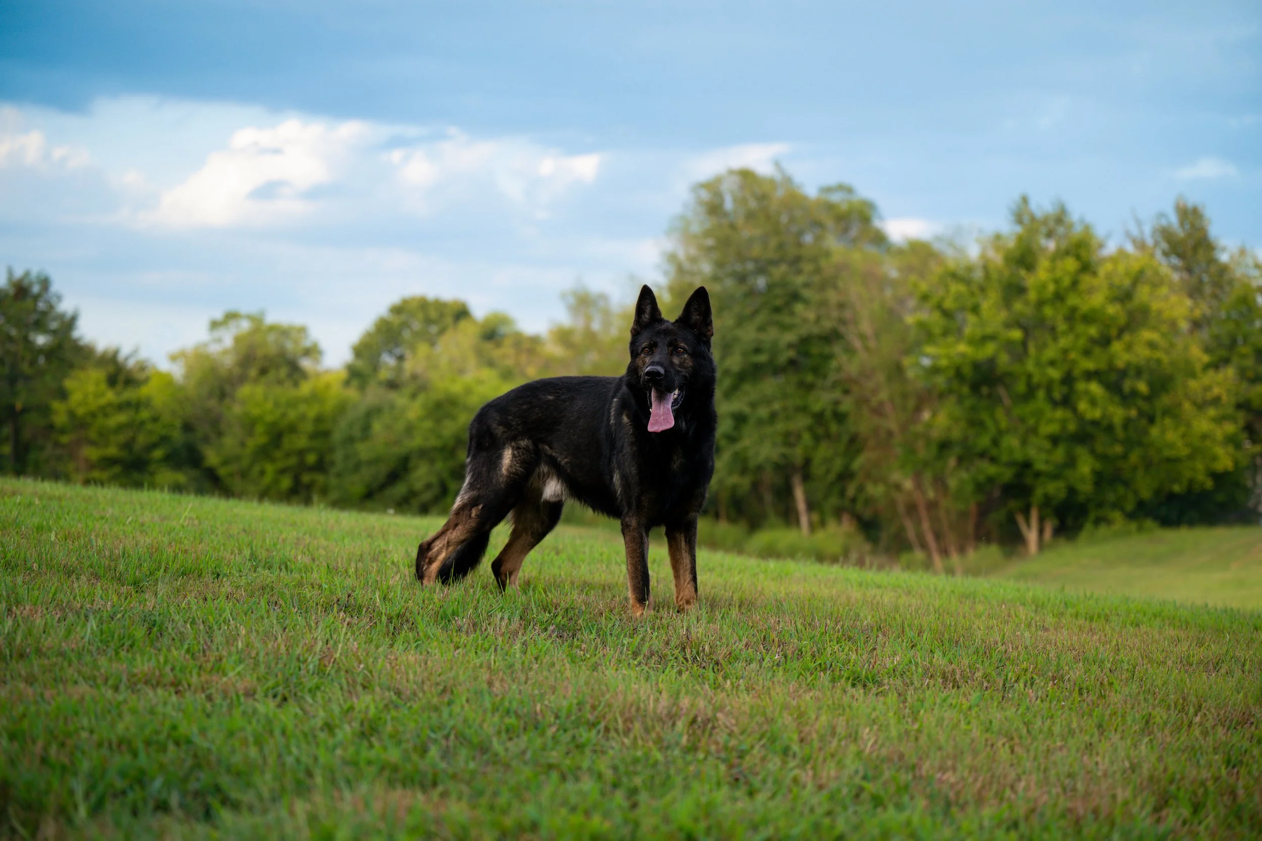 DSC_6128 2.JPG
