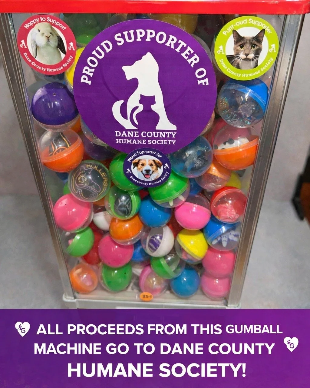💜 Giving back, one spin at a time! 💜

When you visit us at shows, keep an eye out for our gumball machine! Every turn gets you a fun surprise&hellip; and 100% of the proceeds go to the Dane County Humane Society 
It&rsquo;s a small way to make a bi