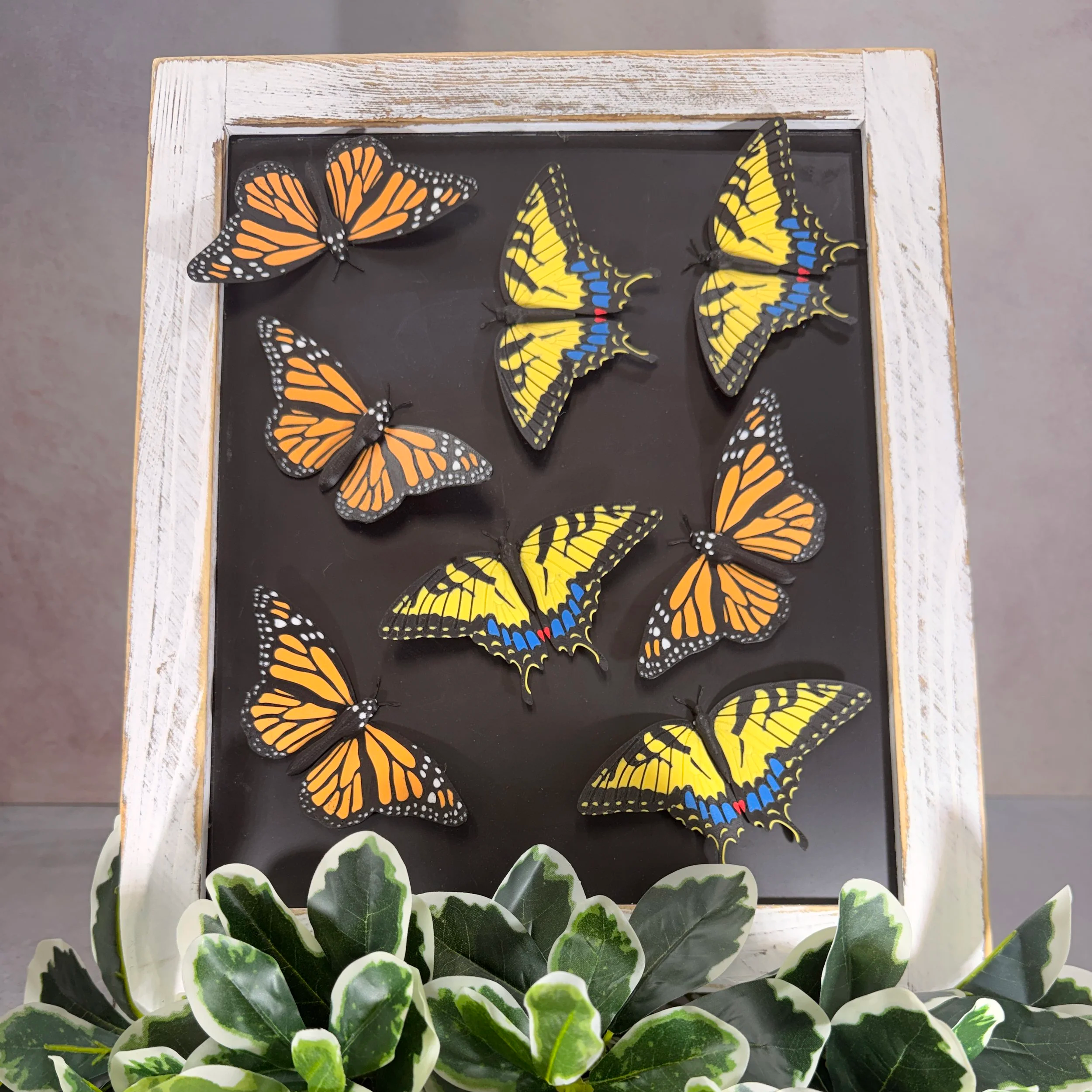 BUTTERFLY MAGNETS