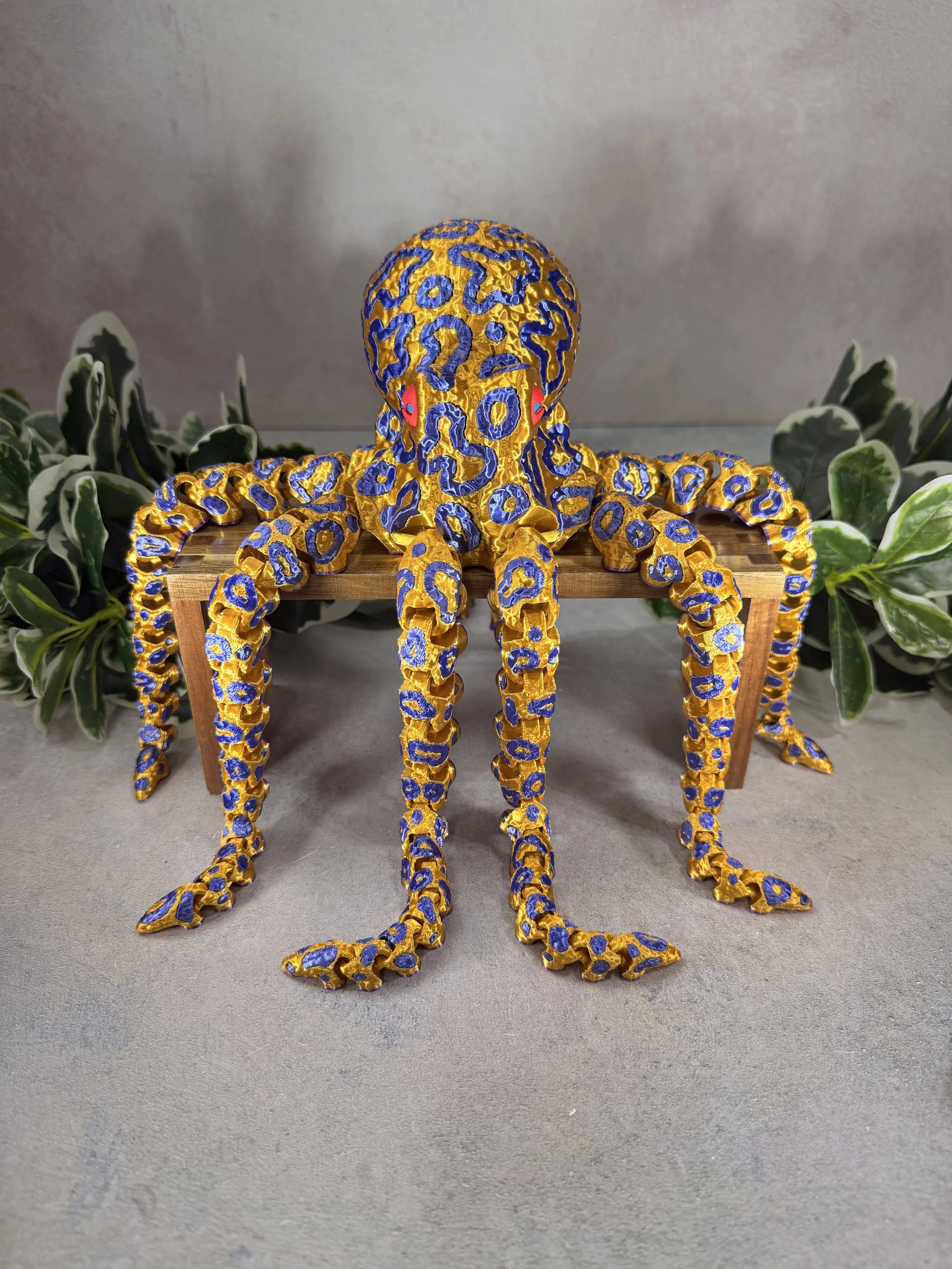 XL OCTOPUS