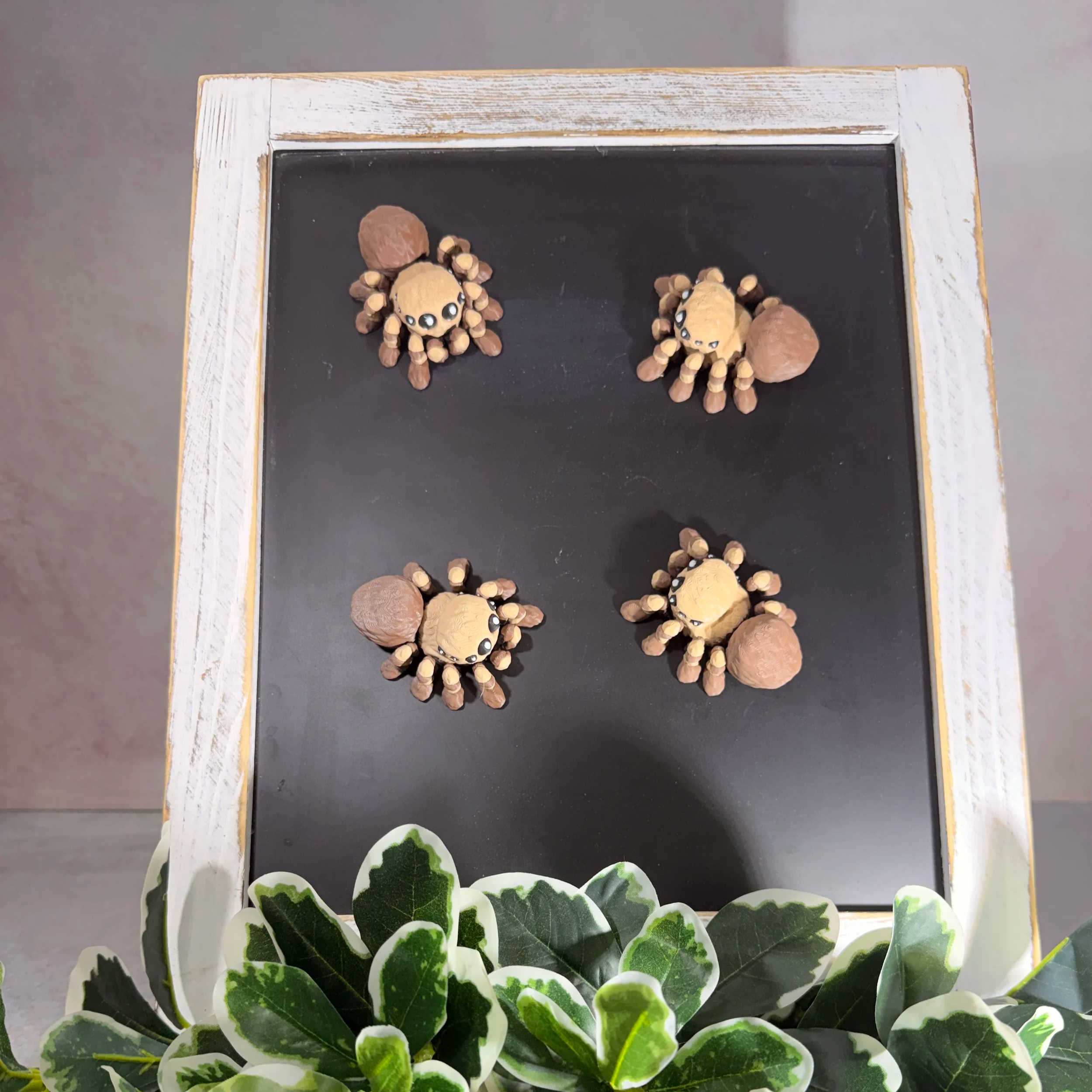 TARANTULA MAGNETS