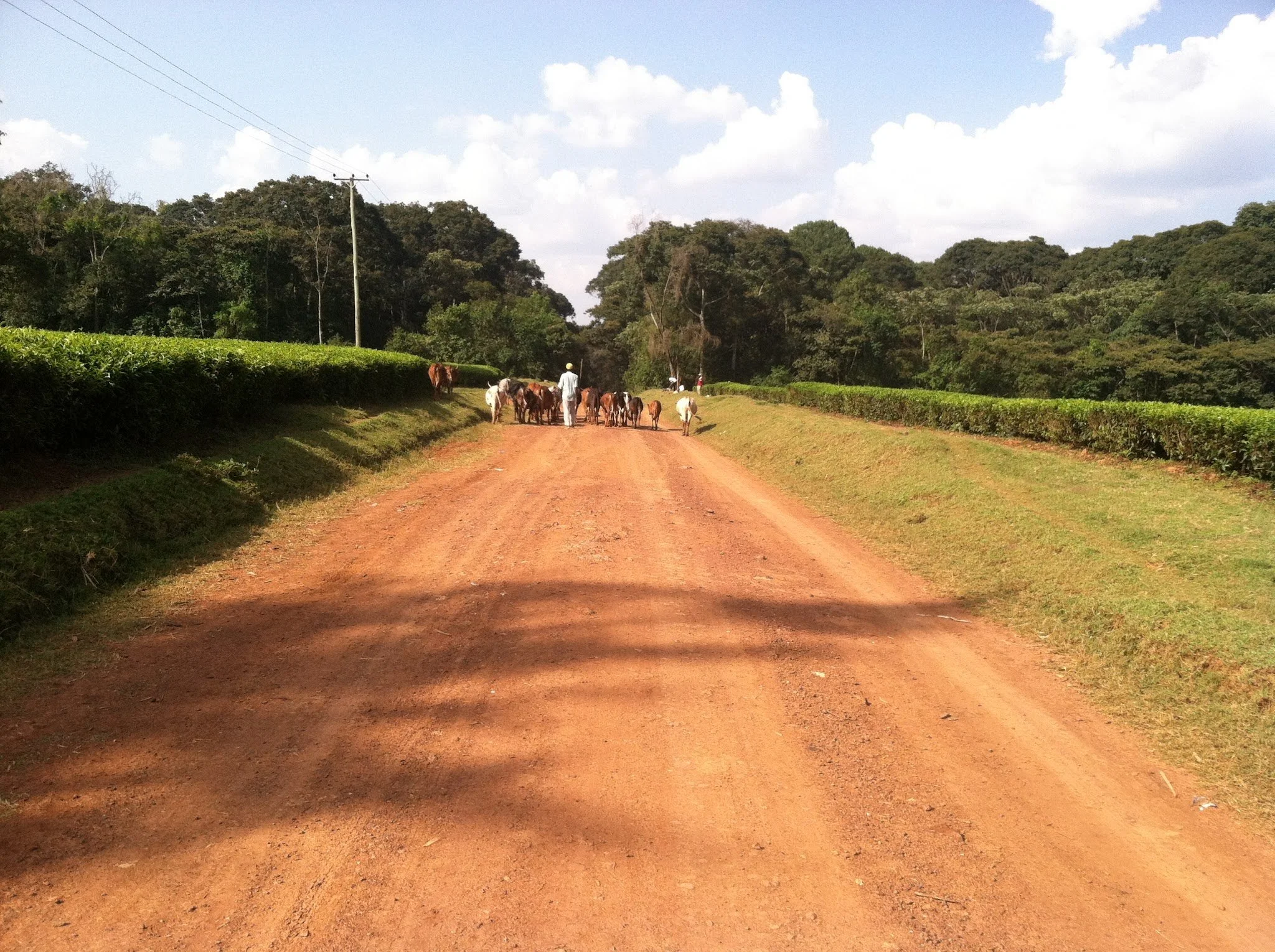 Reaching Dads: Community co-designed implementation strategies for fathers/men