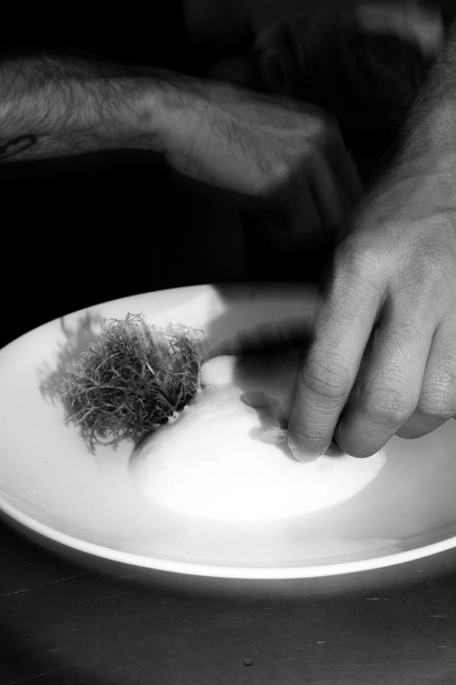 Bart Lenaerts - Jaime Larrea-Betolaza-5.jpg