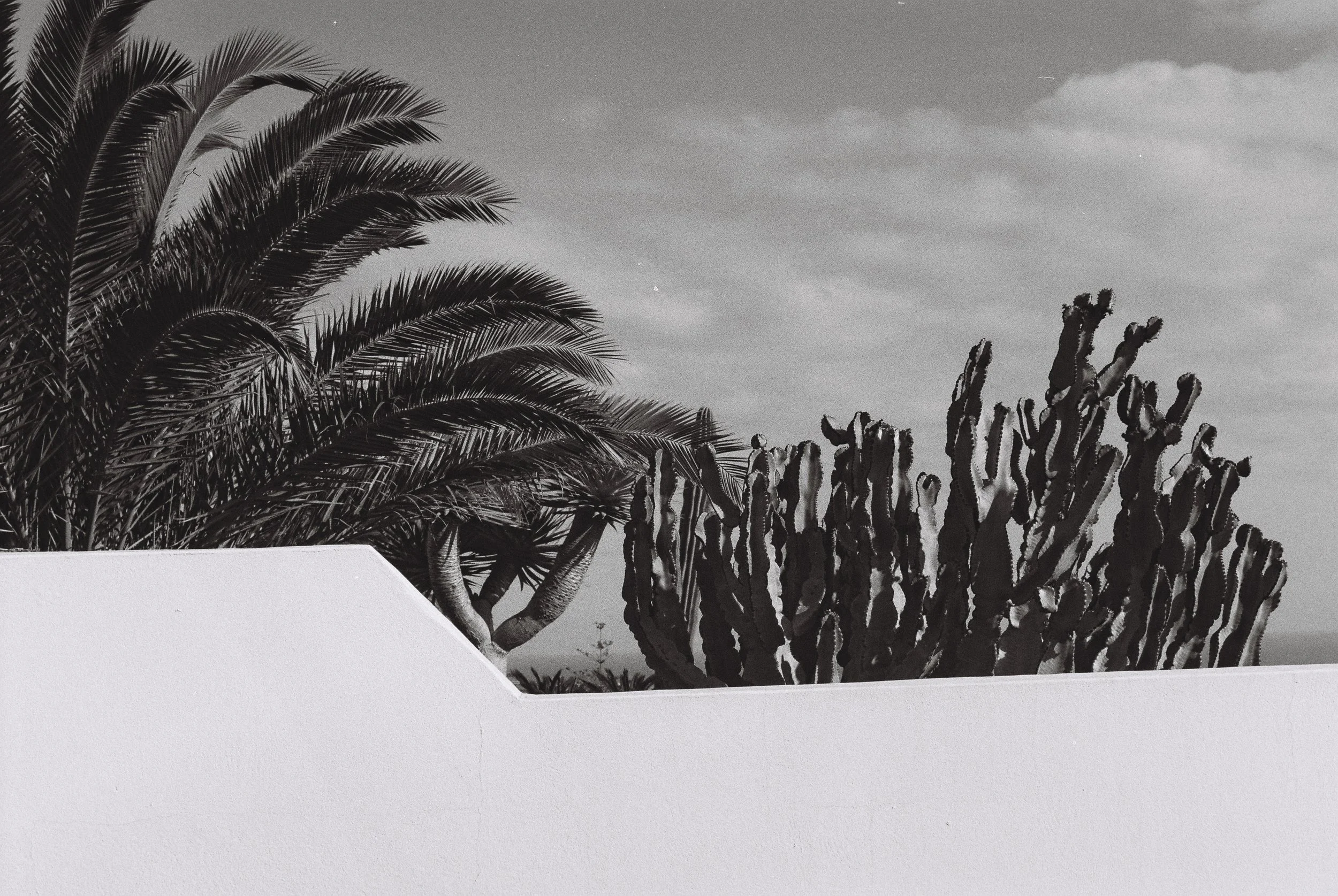 Open call analogue film