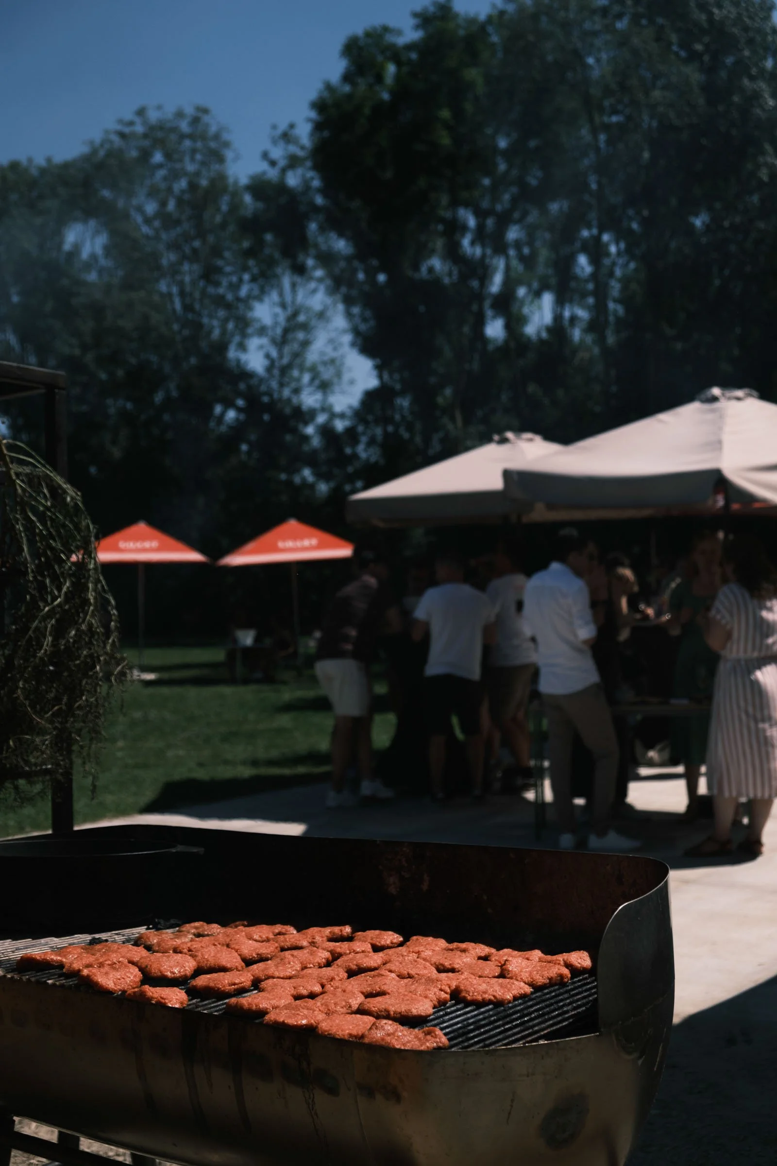 Bart Lenaerts x Tømmer-4.jpg